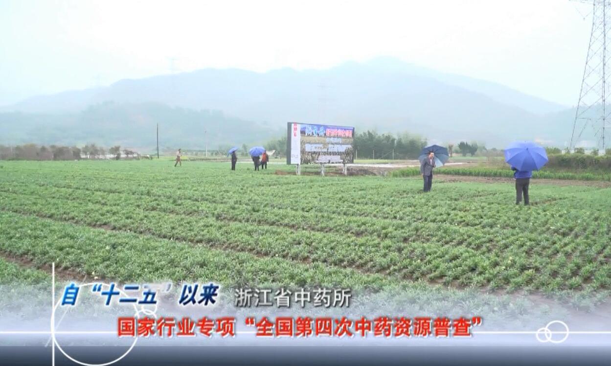 itb8888通博(中国区)官方网站