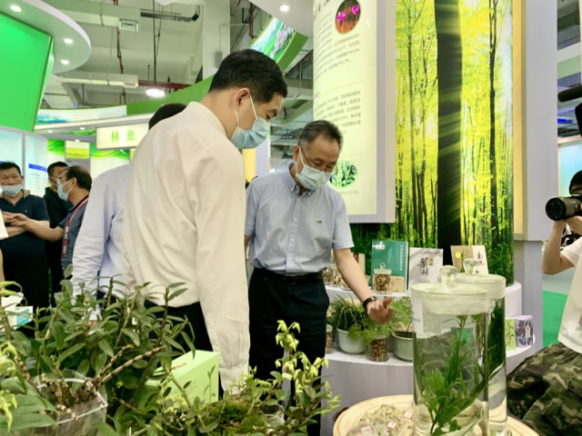 王志安向副省长刘小涛汇报浙贝3号等itb8888通博材新品种选育效果.jpg