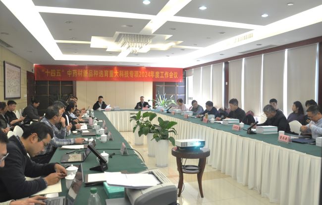 聚会.JPG